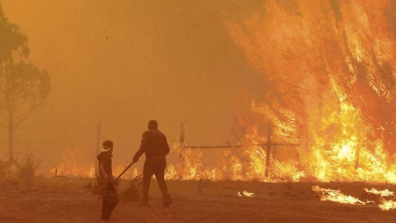 Gran Catástrofe de los “Mega Incendios” de 2017: Un Desastre Histórico en Chile