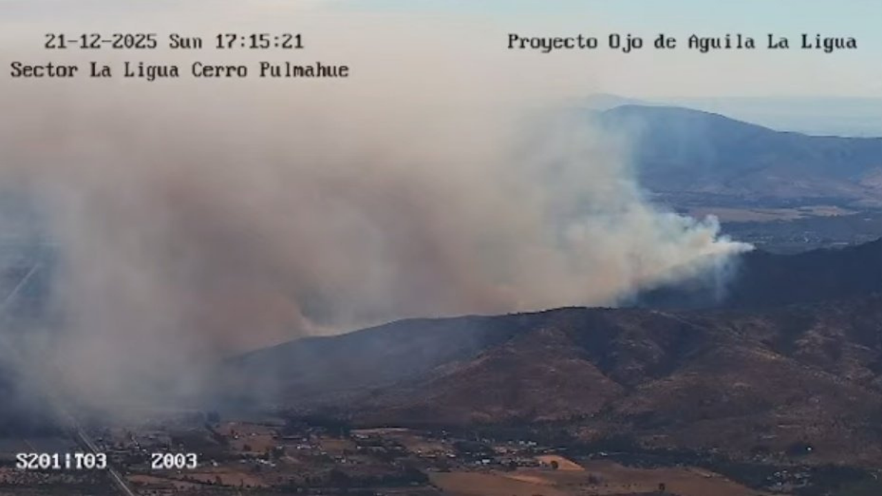 Incendio “La Foresta” en Zapallar y La Ligua se mantiene sin avance tras afectar 100 hectáreas