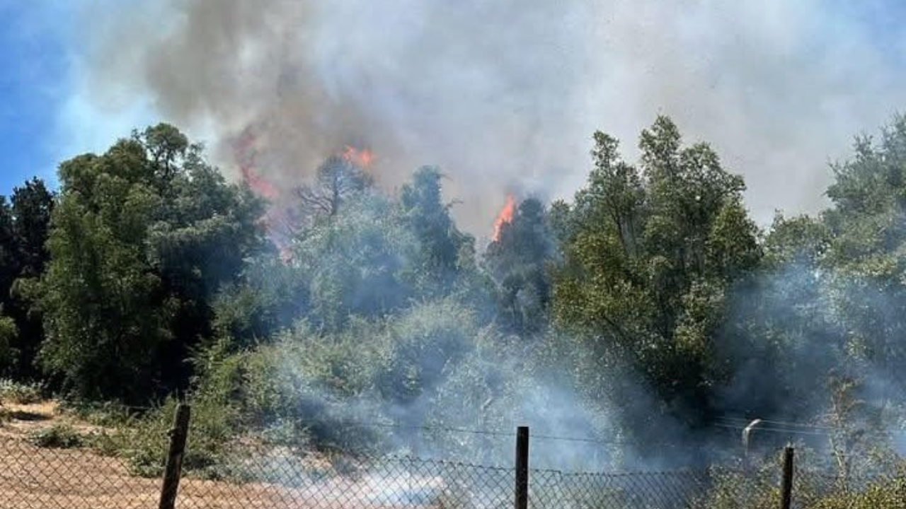 Emergencia en Cabrero: Incendio en Villa Los Boldos es controlado tras amenazar viviendas