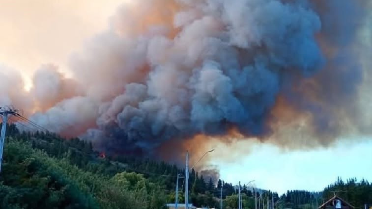 Alerta roja en Ránquil por incendio forestal que amenaza a sectores habitados