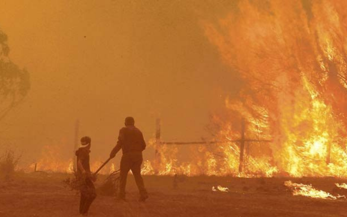Gran Catástrofe de los “Mega Incendios” de 2017: Un Desastre Histórico en Chile