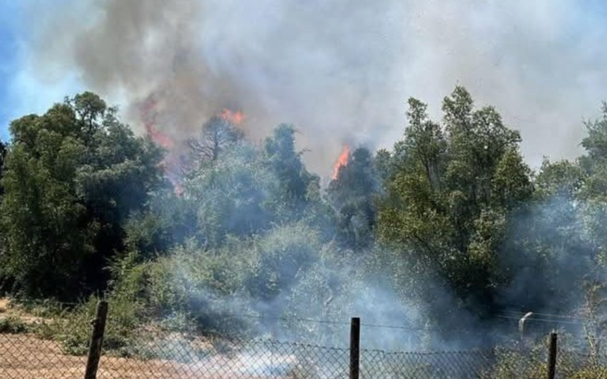Emergencia en Cabrero: Incendio en Villa Los Boldos es controlado tras amenazar viviendas