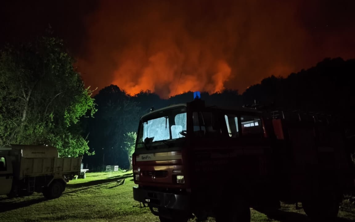 Chile despliega recursos en apoyo para combatir el incendio forestal que afecta en el Parque Nacional Los Alerces Argentina